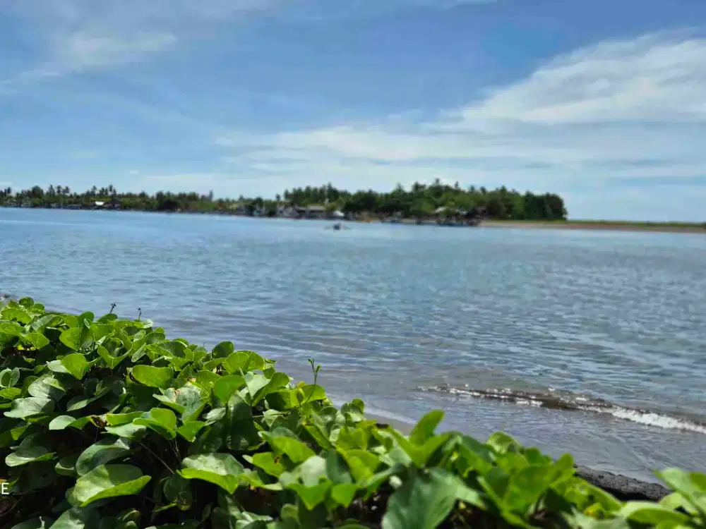 TANAH BEACHFRONT 800M2 DI MUARA PENGAMBENGAN JEMBRANA