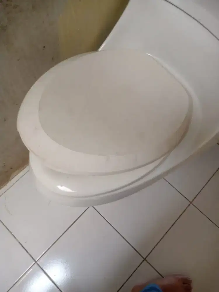 WC duduk kohler