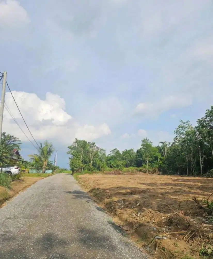 Jual Tanah Kapling Kebun 9 Dekat Simpang Ahok