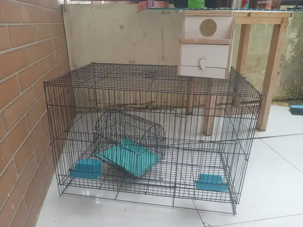 Kandang buat ternak love bird