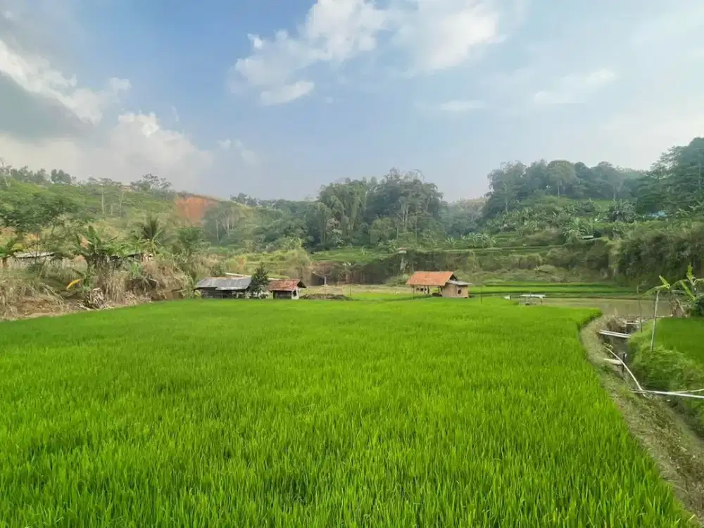 Dijual Murah Tanah dan Kolam Ikan + Sawah di Bojong Purwakarta