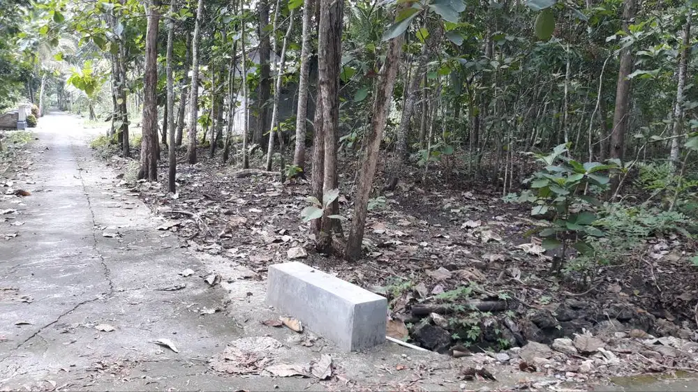 JUAL TANAH SISI 2 MUKA,STRATEGIS