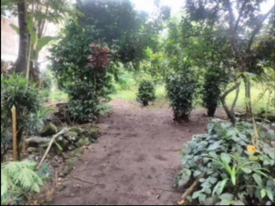 Dijual Ruko dan Pekarangan Pinggir Jalan Raya