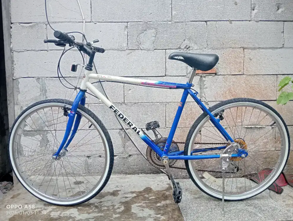 Sepeda federal tubing citycat MG41s
