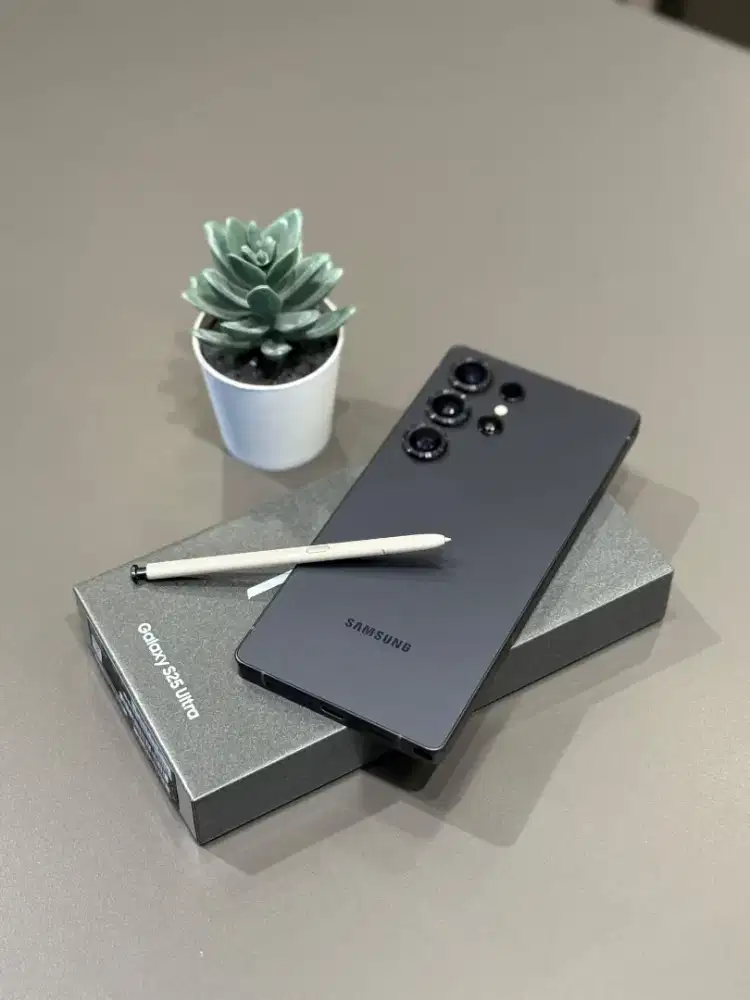 Samsung Galaxy S25 Ultra 12/1TB sein mulus