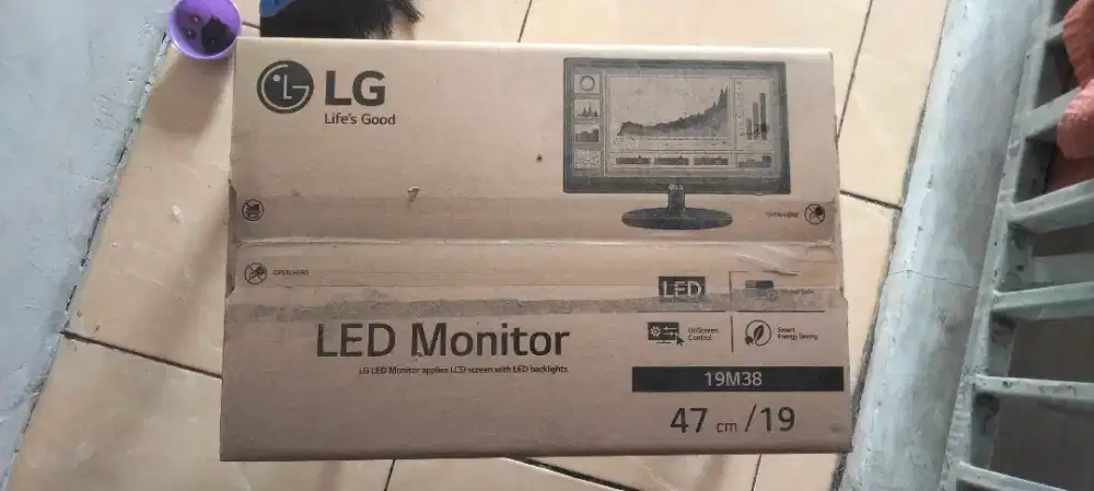 Monitor LG 19m38