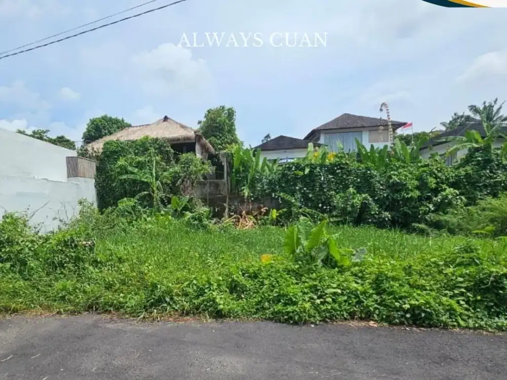 Tanah Datar bisa Langsung Dibangun Area Tibubeneng
