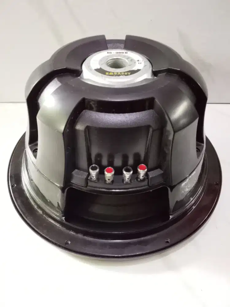 Subwofer embasy 12 inch