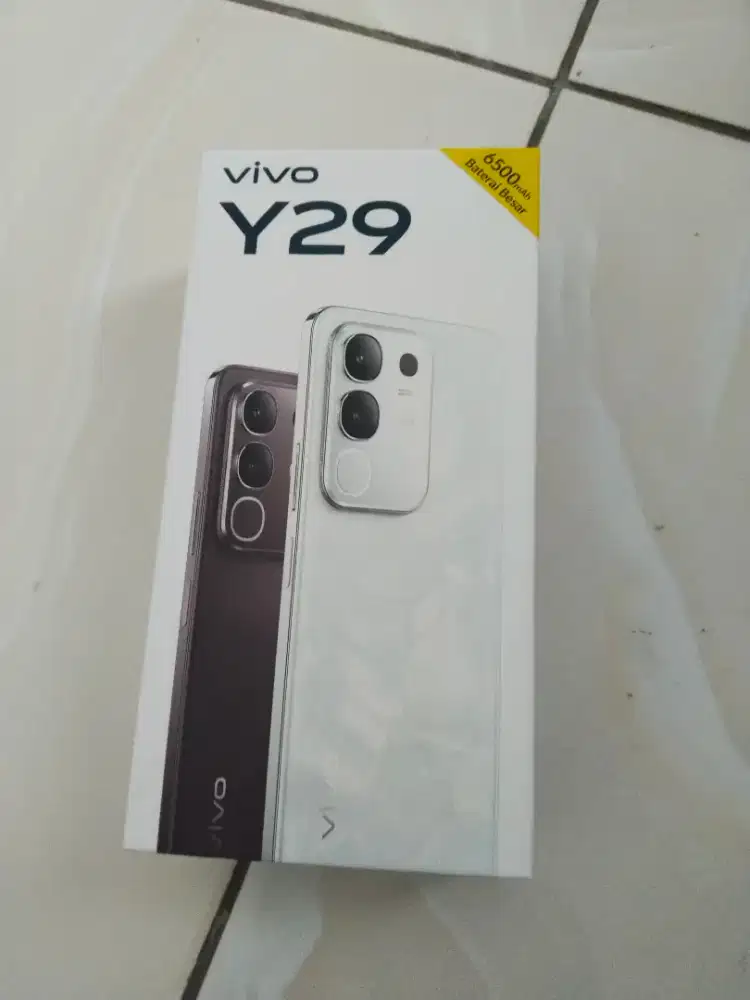 Vivo y29 8/256 4G
