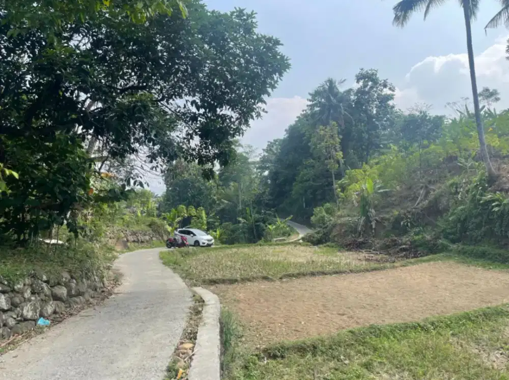 DI JUAL TANAH MURAH BOGOR