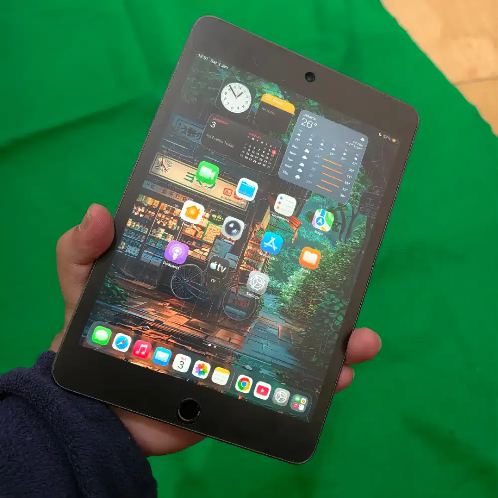 iPad Mini 5 256GB Grey