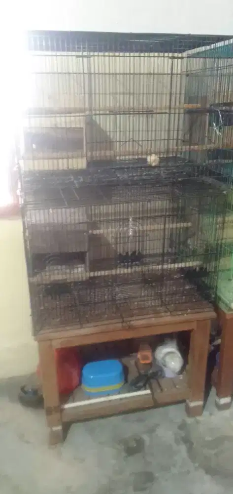 Di JUAL borongan kandang kotak  LOBET