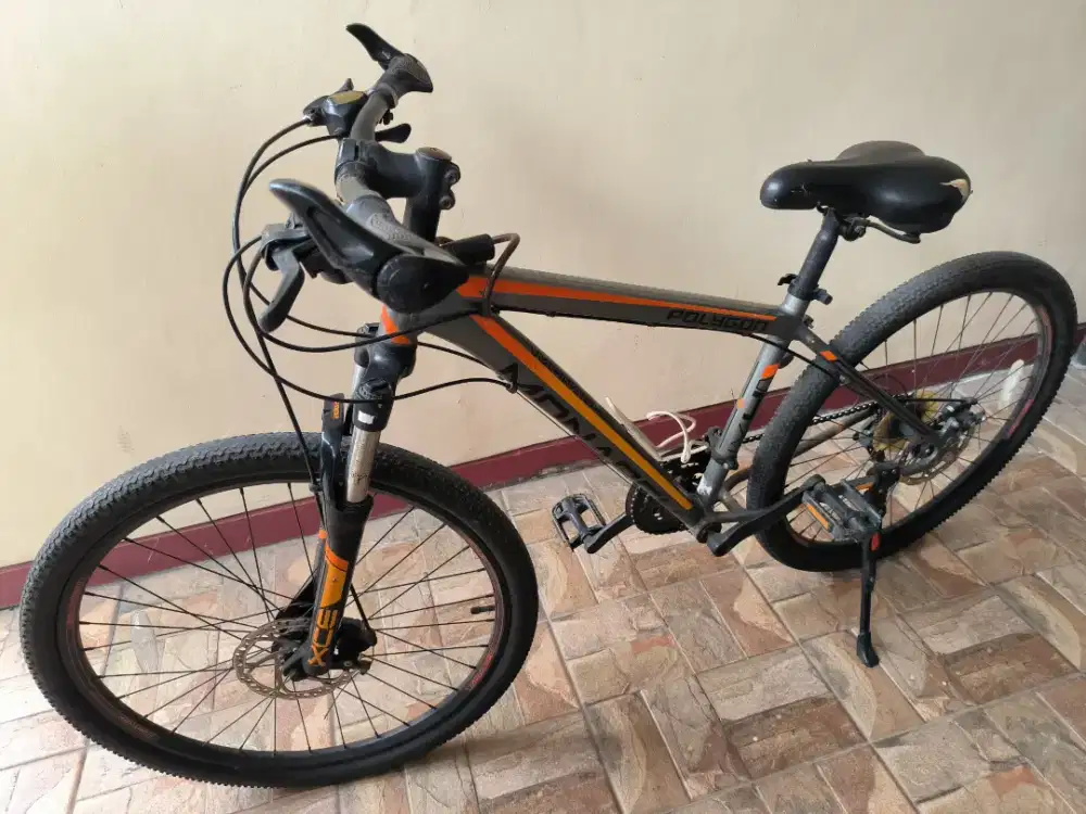 Sepeda Polygon Monarch