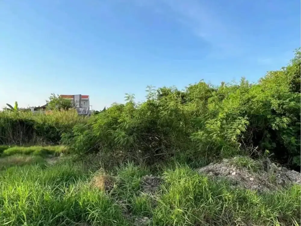 Tanah mutah siap bangun lokasi strategis di bumi wonorejo asri surabaya