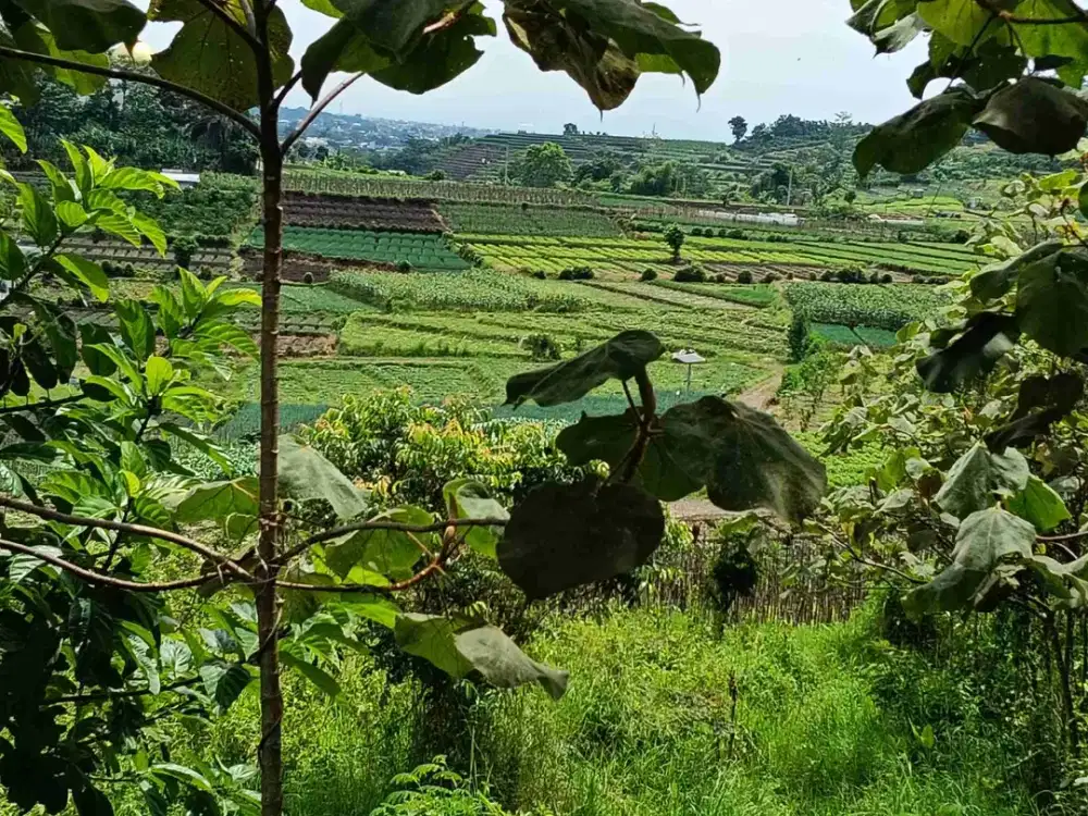 Dijual Murah Dibawah NJOP Tanah Batu Temas Dekat JatimPark 3