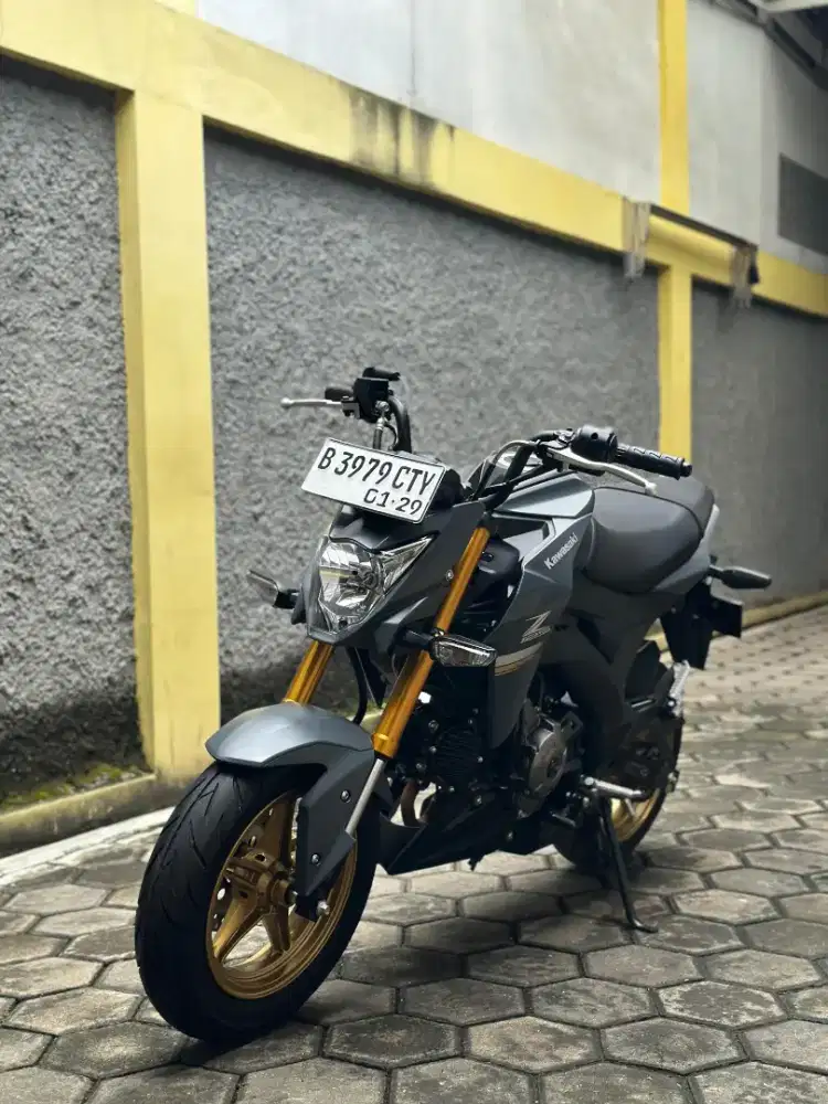 Kawasaki Z125 Pro 2024 Km 1rb