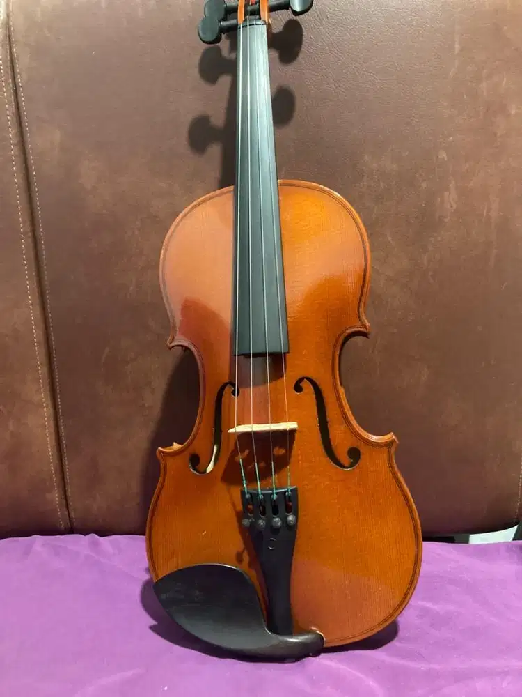 Biola Violin Hofner H5