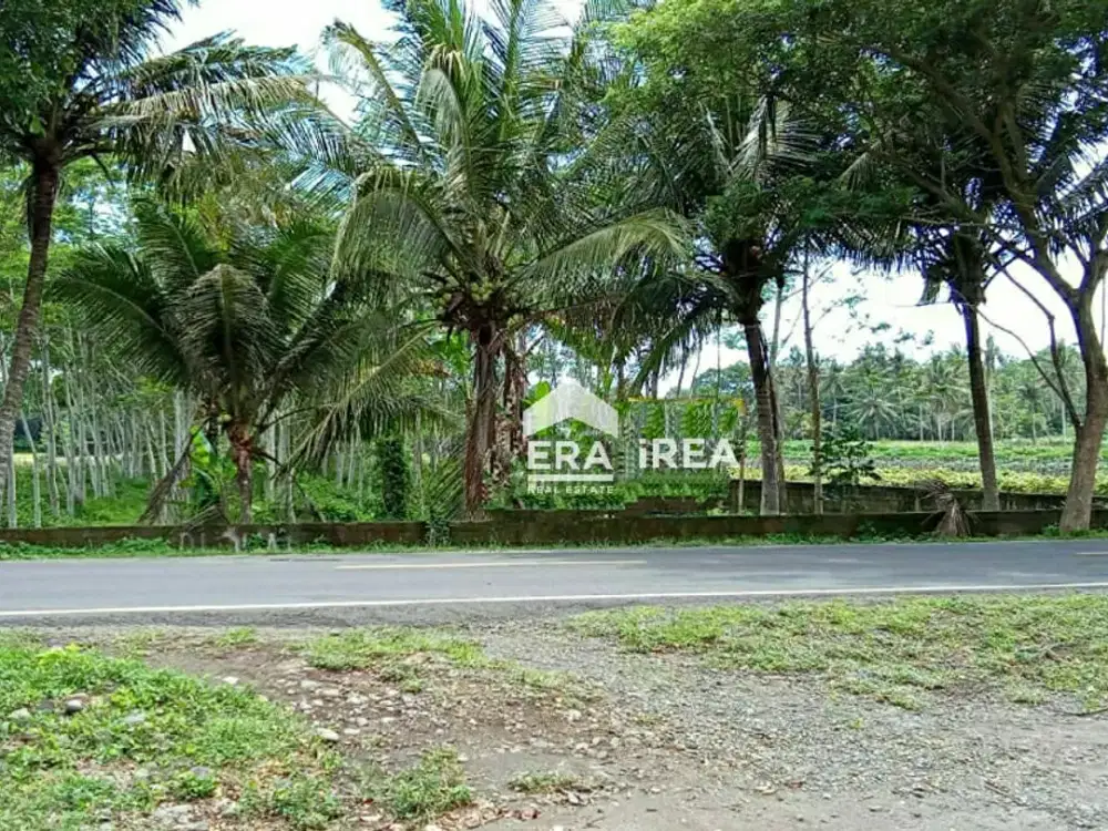 TANAH DIJUAL DI JOGJA DEKAT PANTAI DEWA RUCI