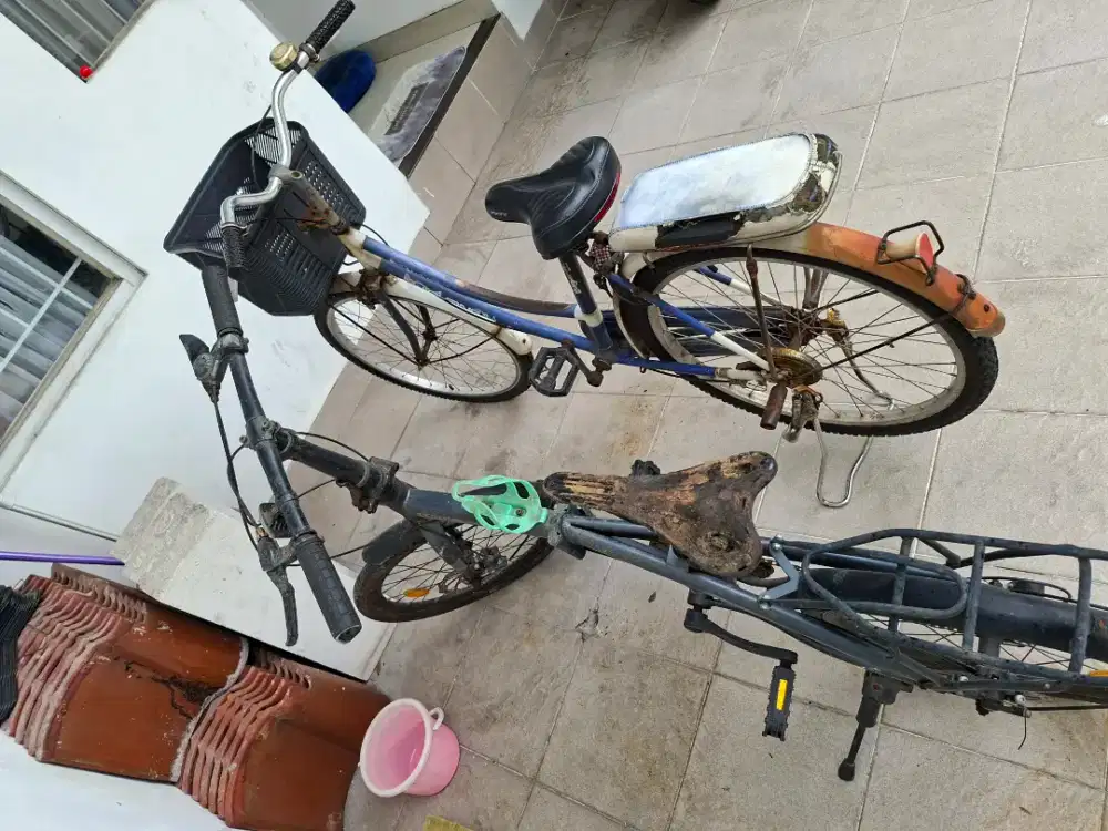 Sepeda Exotic & Sepeda Keranjang uk ban 26