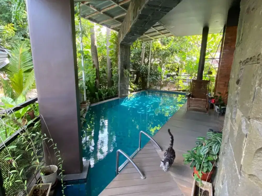 Jual Sangat Murah Rumah Luas Ada Swimming Pool di Maleo Bintaro Sektor 9