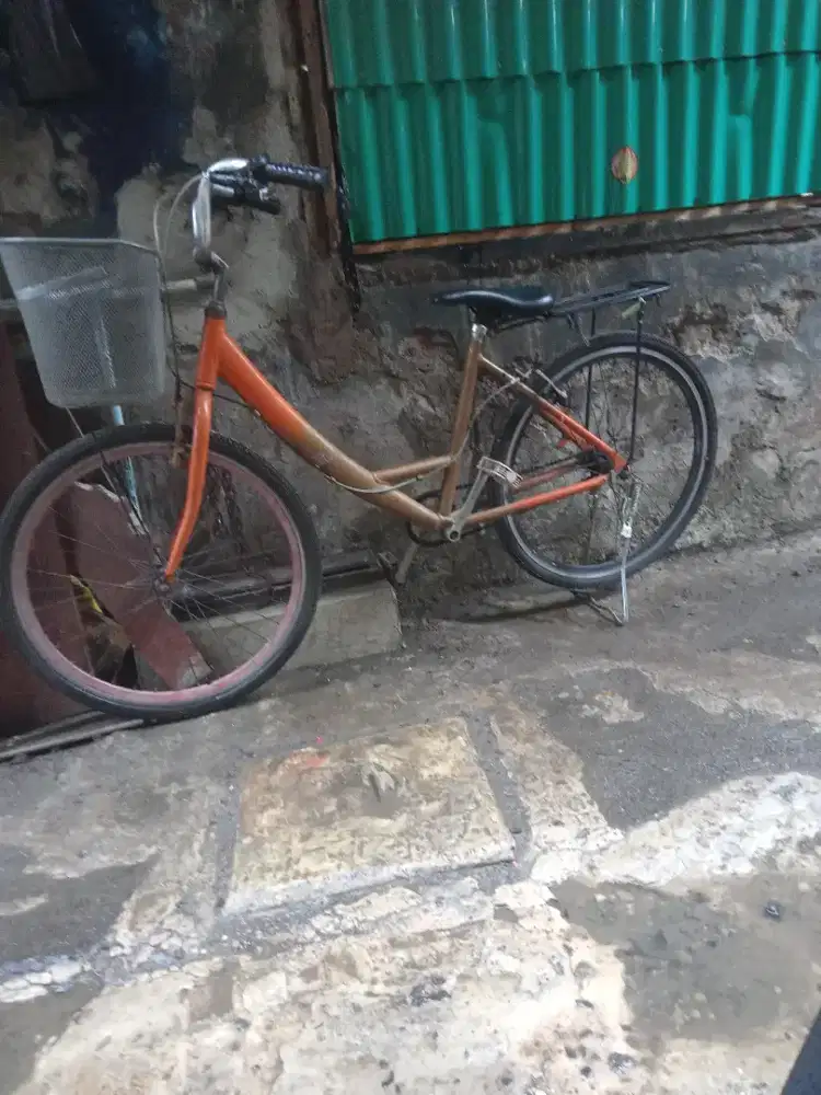 Sepeda keranjang belanja dewasa siap gowes