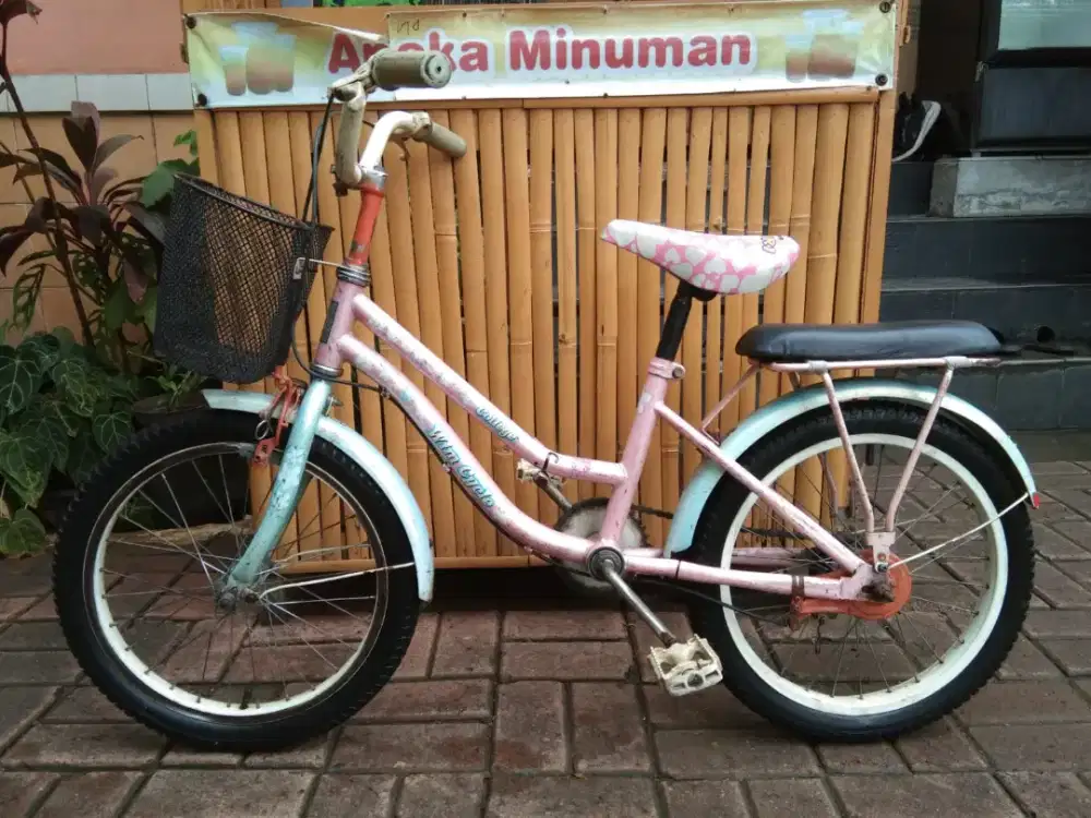 Jual murah sepeda keranjang wimcycle 18