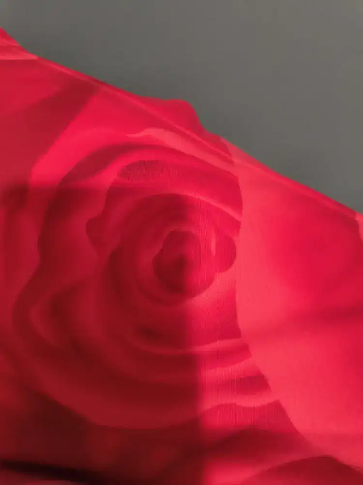 Dibutuhkan Pembantu Rumah Tangga Wanita