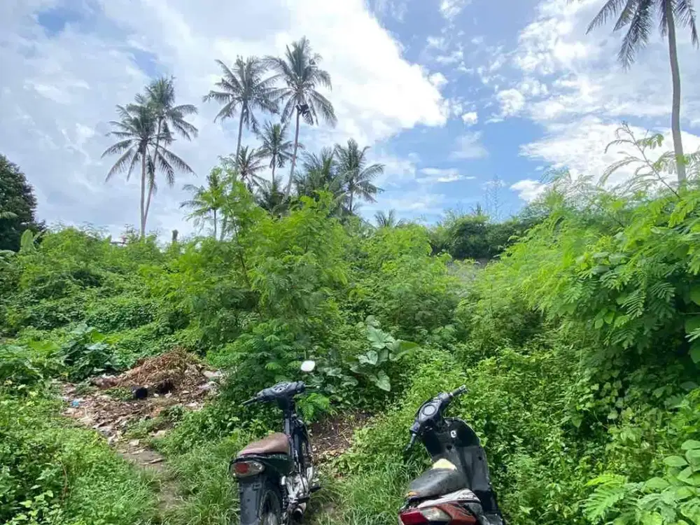 Dijual Tanah 4.95 Are Kemenuh