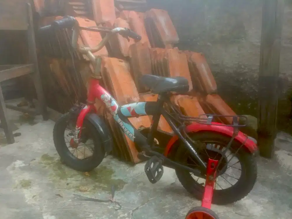 Sepeda Anak Wimcycle