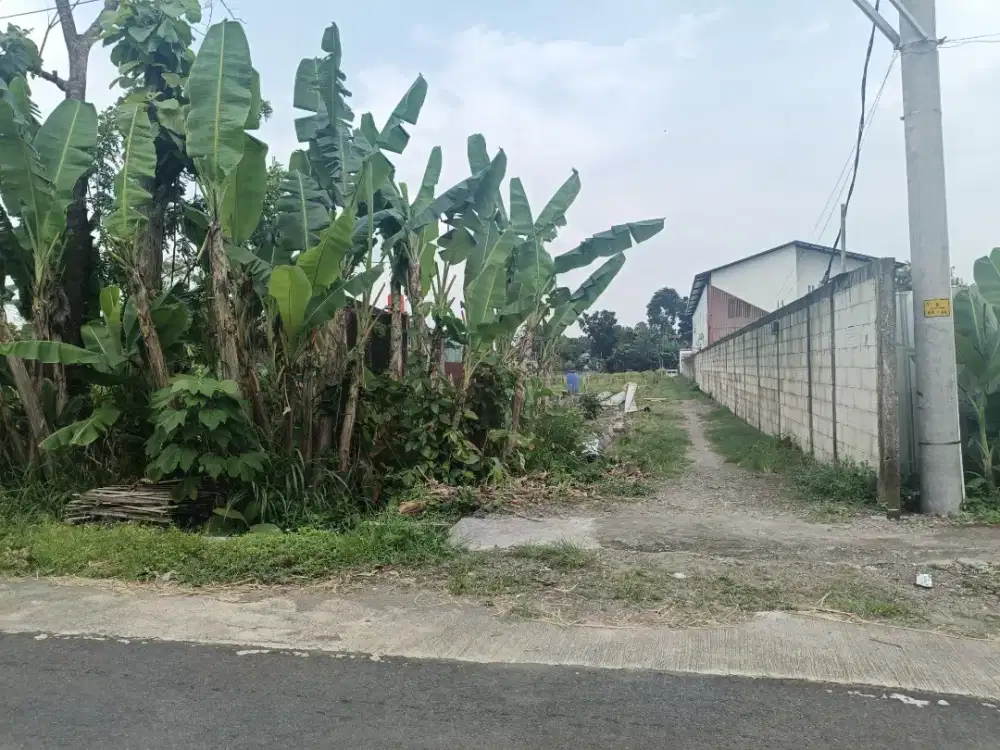 Disewakan tanah strategis samping pabrik tekstil jl Tulip Maguwoharjo