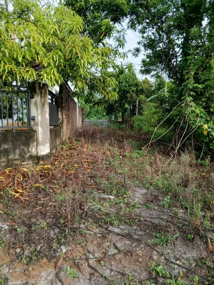 Tanah dijual, 3 kapling, luas 450M2, lokasi strategis, dekat terminal