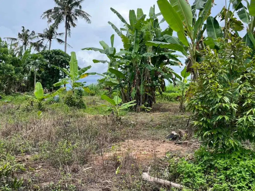 Disewakan Tanah 23 Are Lodtunduh, Ubud