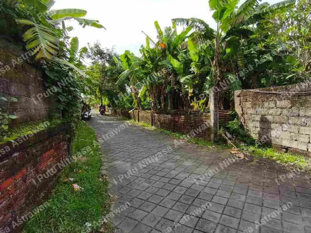 DIKONTRAKKAN Tanah di Dalung Kuta Utara – Dekat Jalan Utama, Lingkungan Tenang