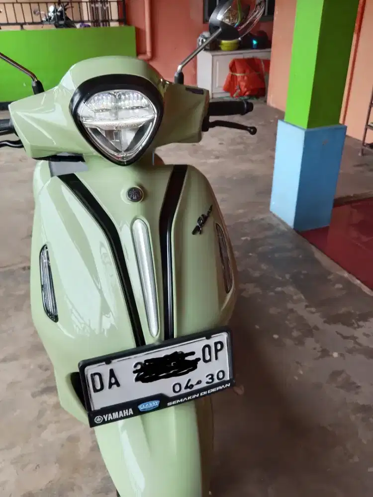 Dijual filano green