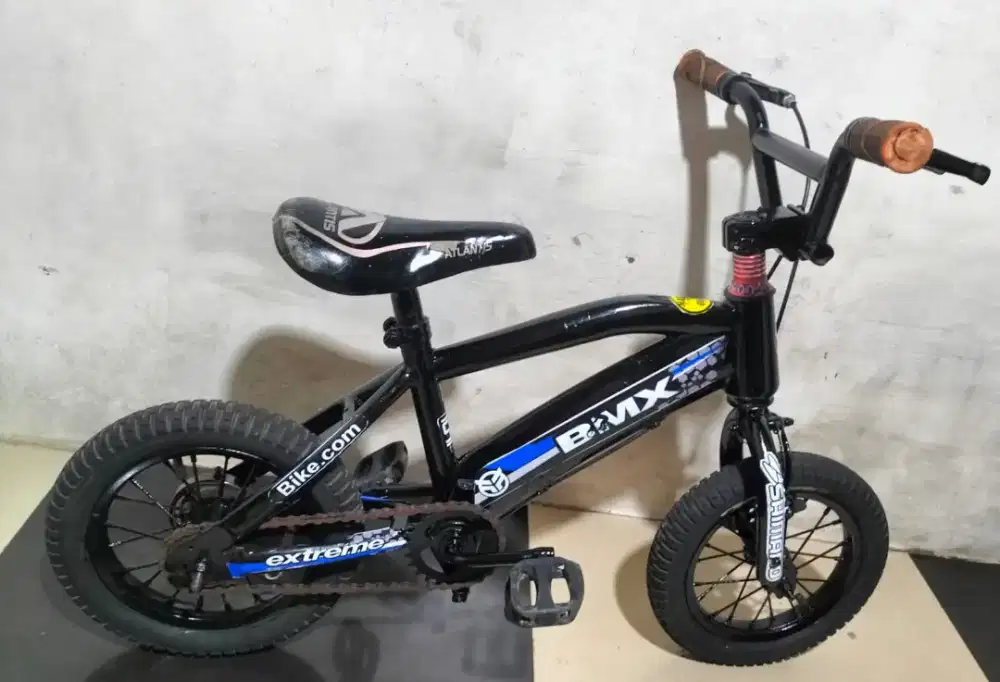 Sepeda anak ukuran 12 kondisi normal