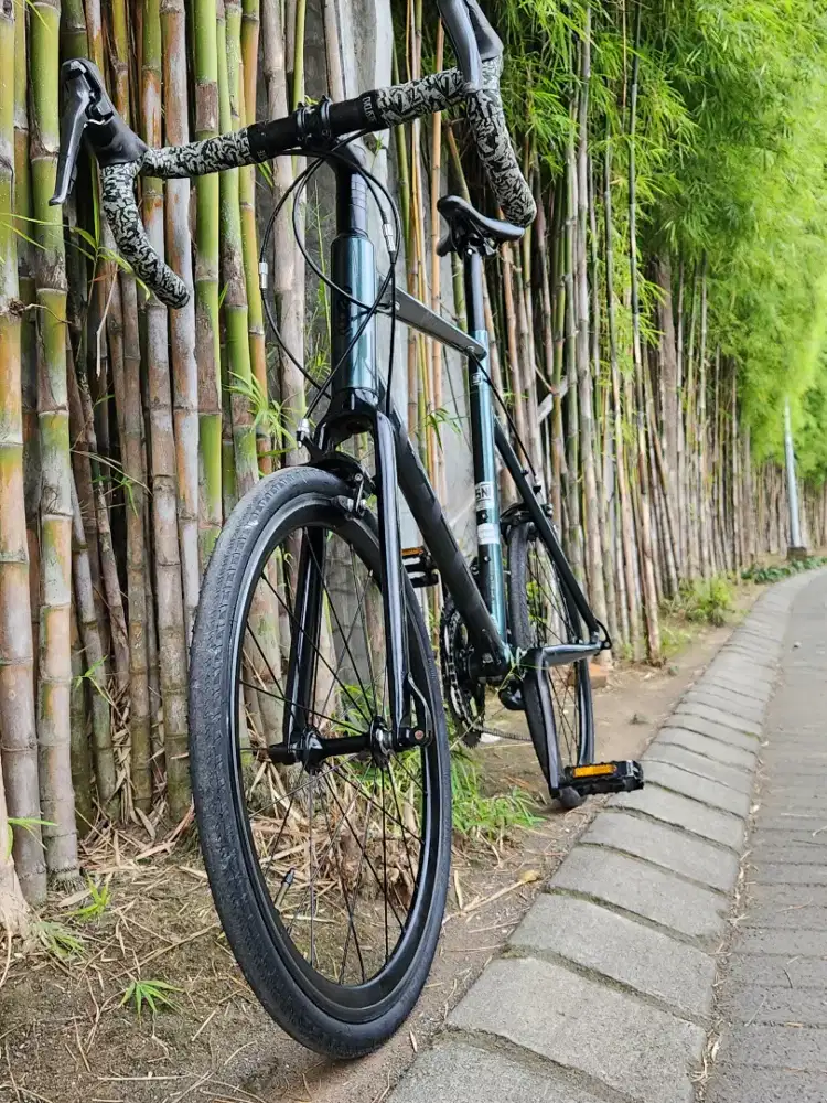 WTS Minivelo Tern Surge