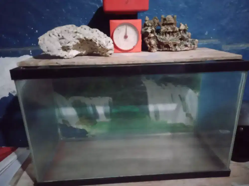 Akuarium akrilik tebal