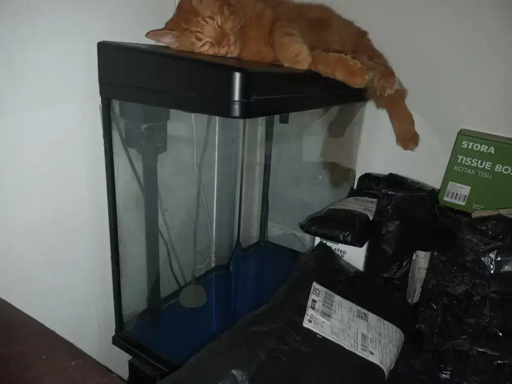 Jual Aquarium Boyu 280 ltr & Kabinet