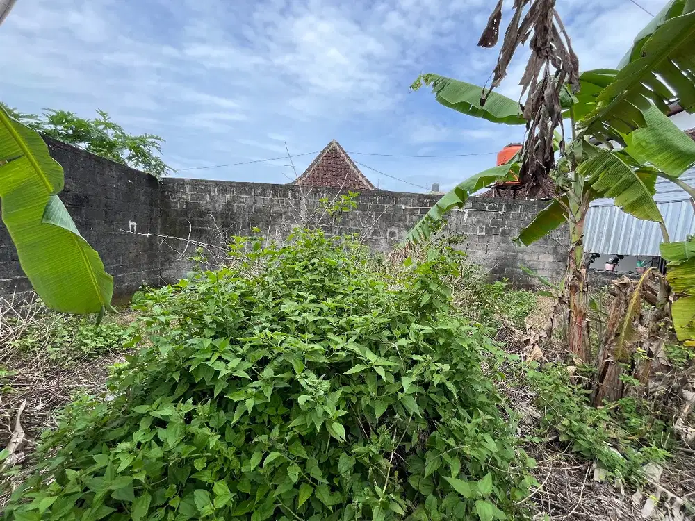 Dijual Tanah Dekat UII Yogyakarta Cocok Untuk Dibagun Rumah