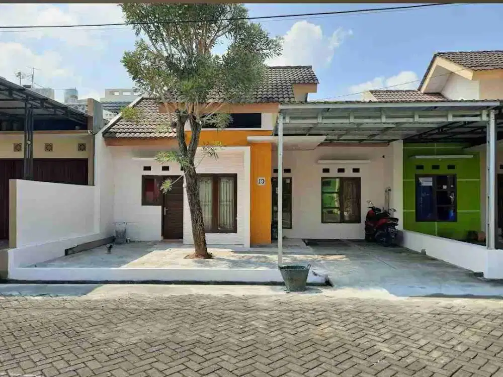 Di sewakan cat gress baru Timur Neo Gading SOLO