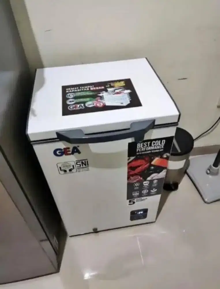 FREEZER BOX GEA 100 L