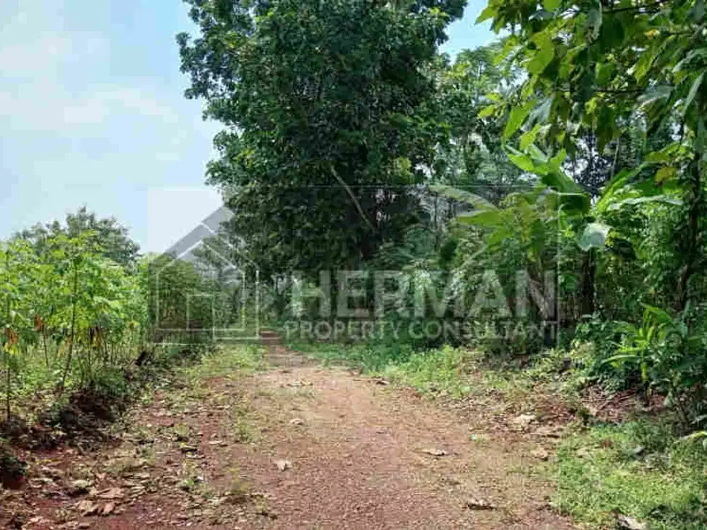 Tanah Tembalang Kramas Undip