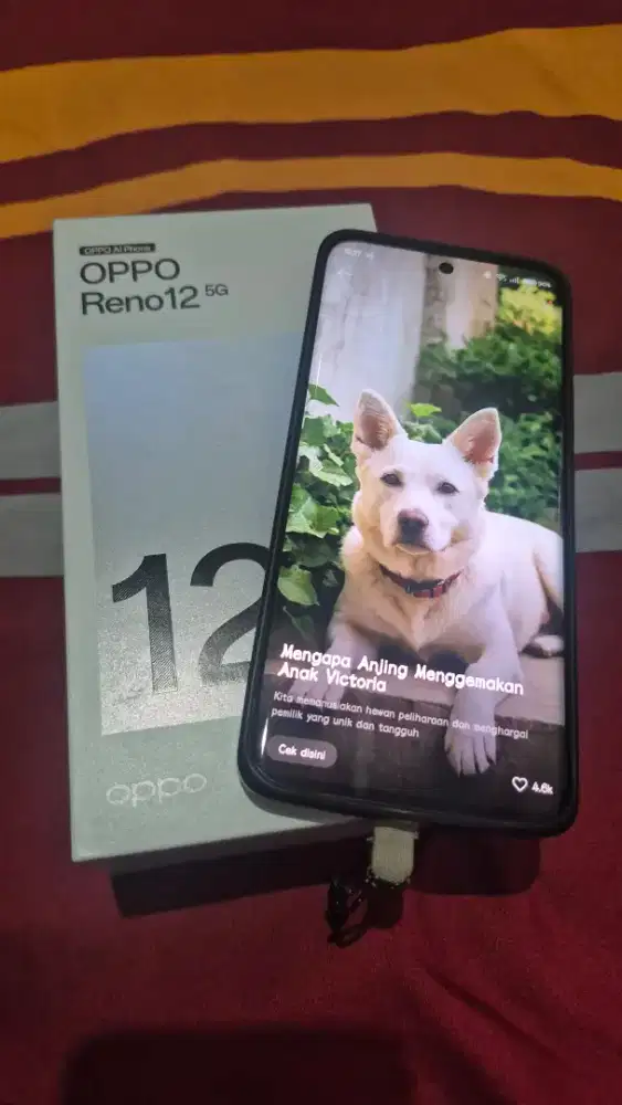 FS Oppo Reno 12 5G