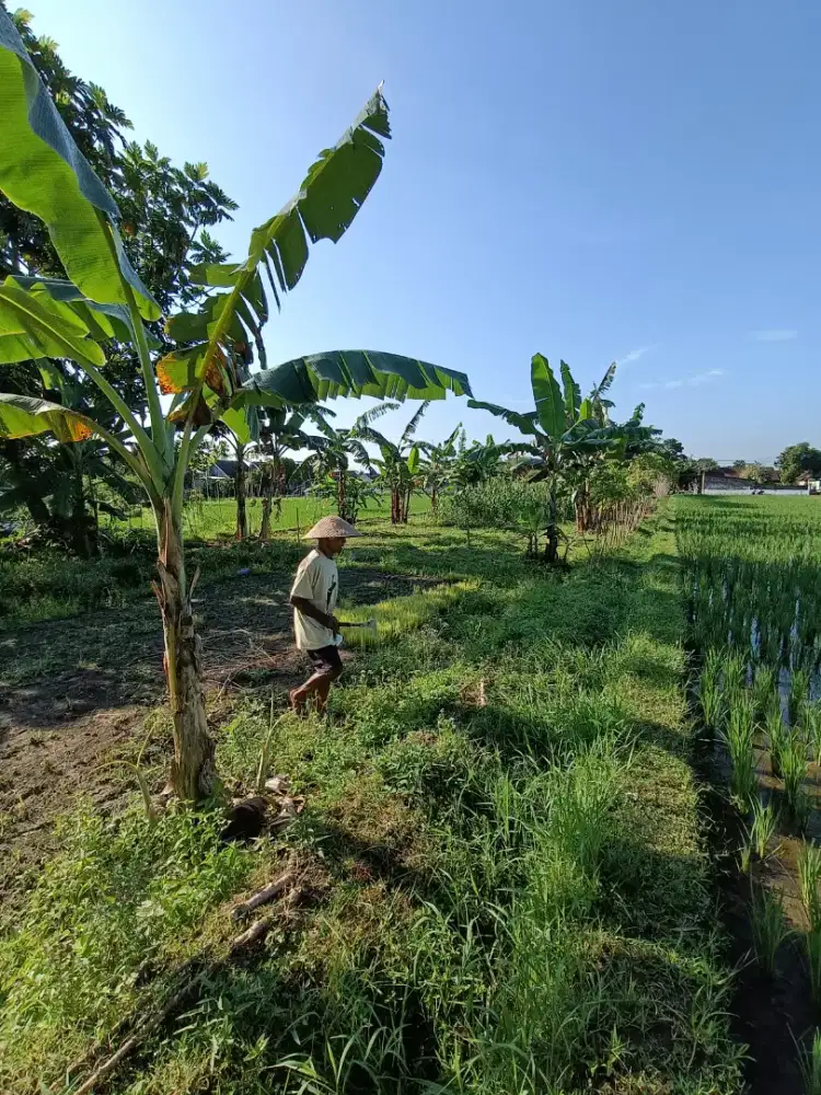 Cocok untuk Slow Living