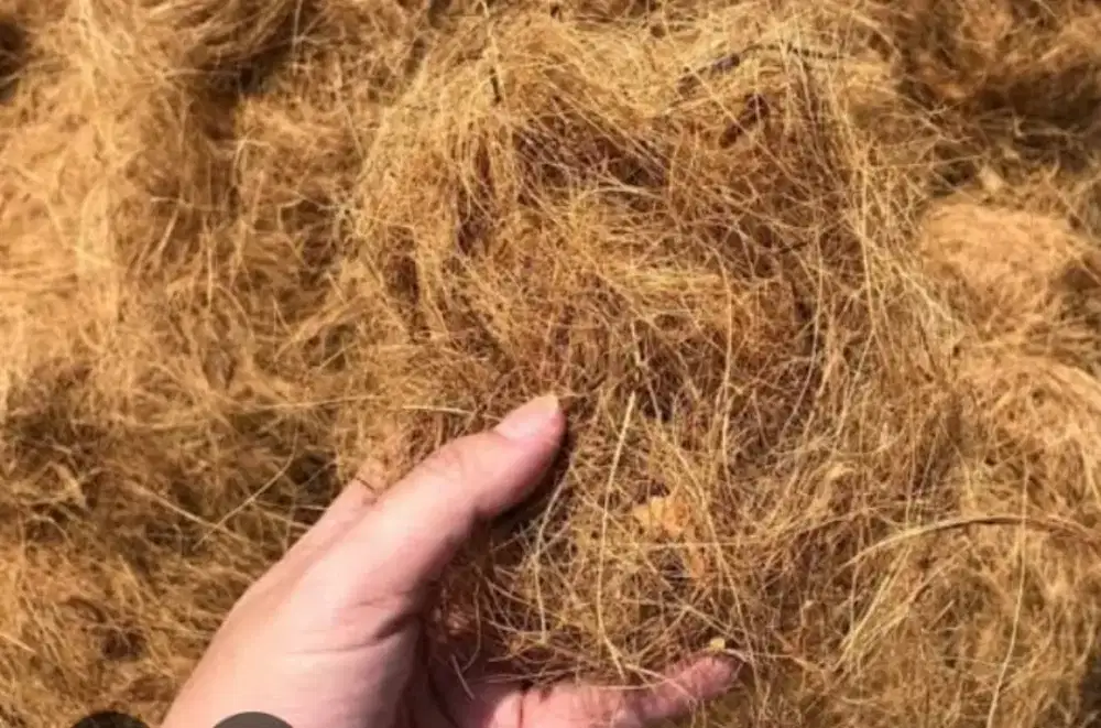 Sabut Kelapa Bahan Baku Aneka Kerajinan