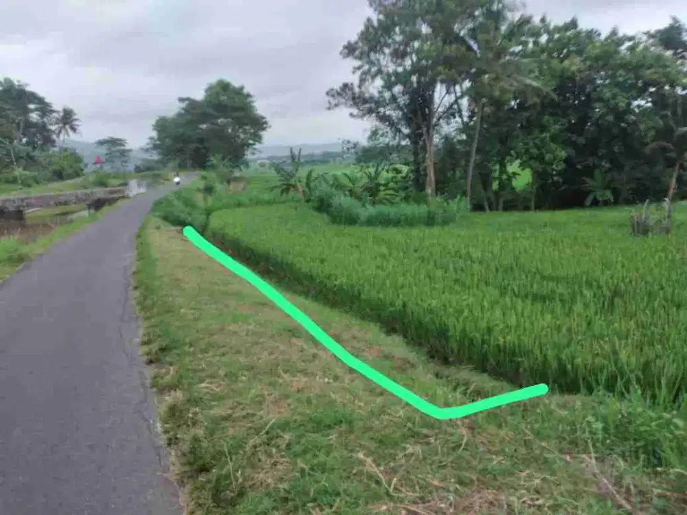 Tana View Sawah Asri dan Pegunungan Menoreh dekat Kopi ampirono.