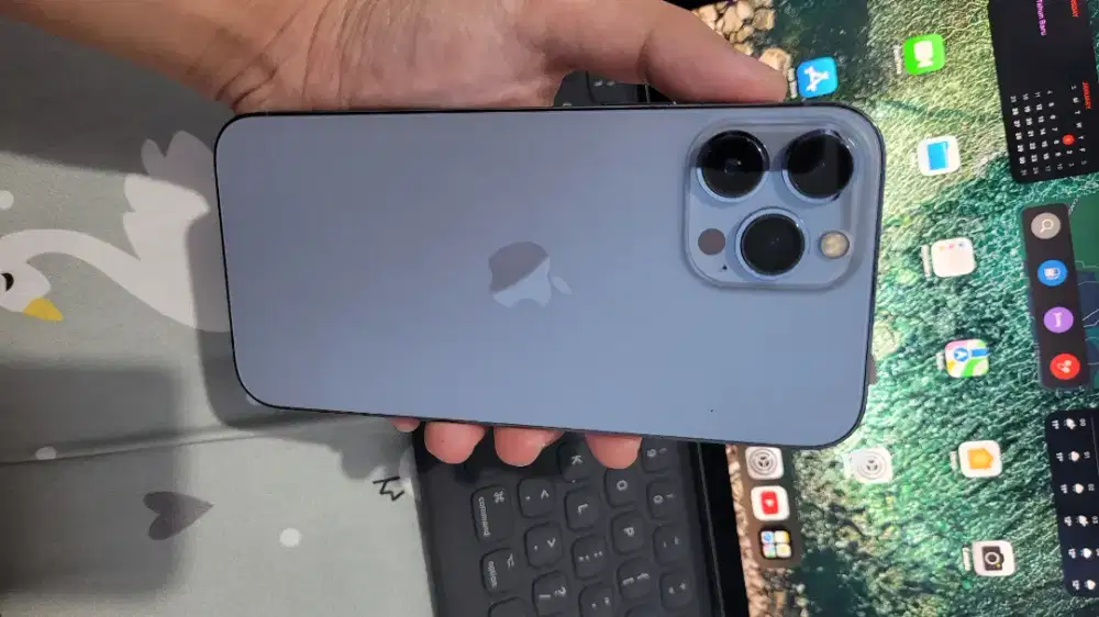 Iphone 13 pro max 256gb