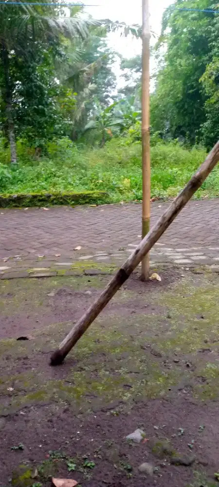 mencari pekerjaan apa saja