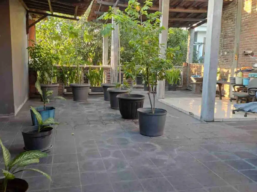 jual cepat rumah siap huni pondok Tjandra 2 lantai, tidak banjir murah