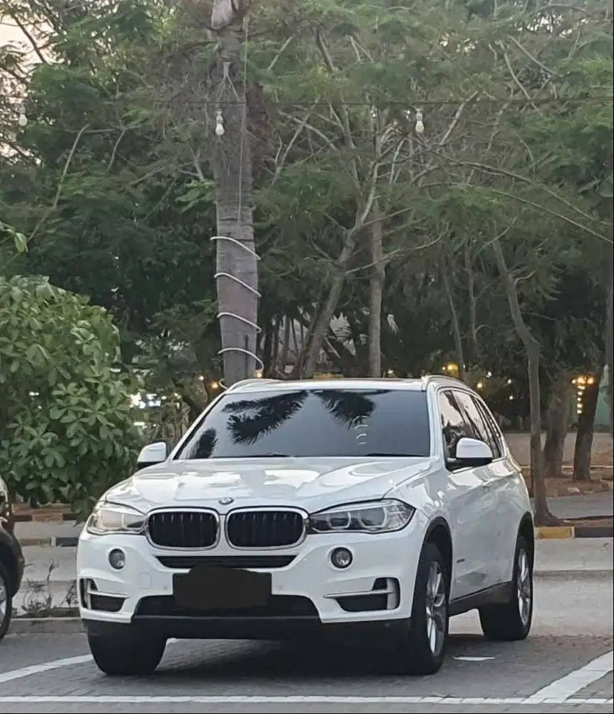 BMW X5 2.0Xdrive 25d 2015 Warna Putih